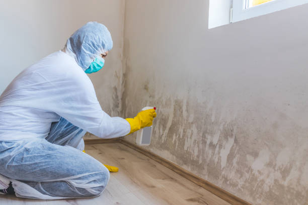 Mold Remediation specialist working in New Milford
