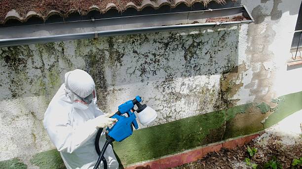 Mold Remediation service in New Milford, New Milford, NJ